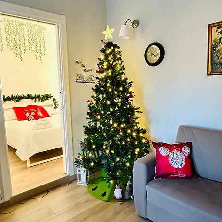 Vivina_081 ゲストハウス